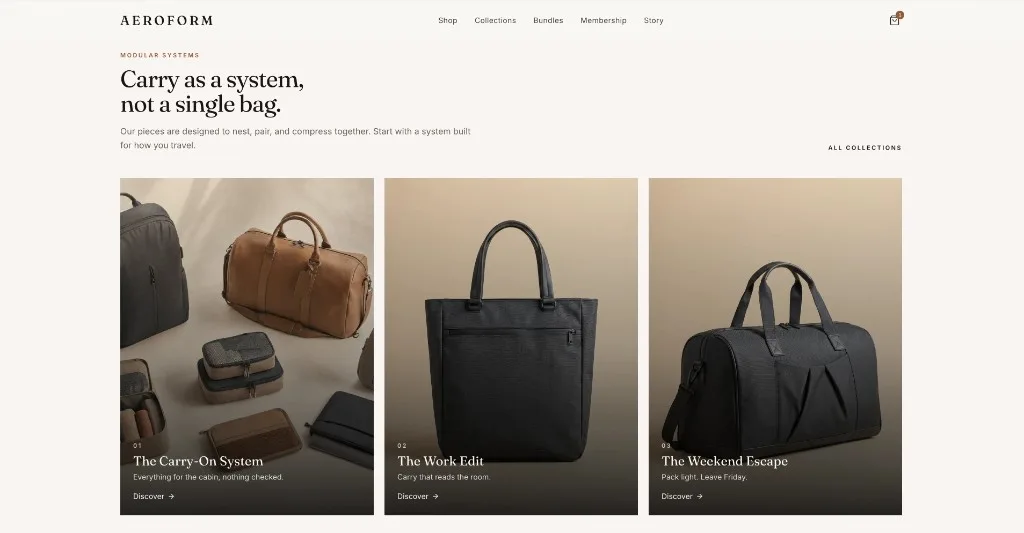 Aeroform — MintMerchs modular travel shop preview